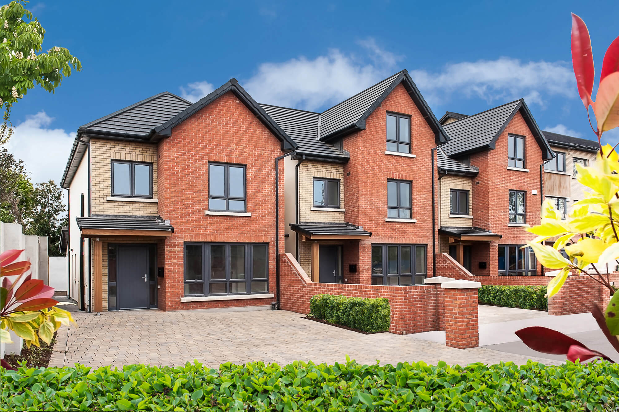 Hawthorn Grove